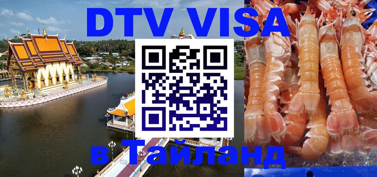 Оформление DTV визы под ключ: стоимость и тарифы, только загранпаспорт - Дзержинск  04.12.2025 